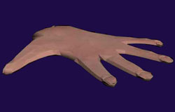 3D MAX hand